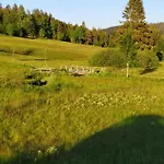 Apartament Gabi *