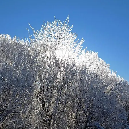 Apartamento Gabi Forbach