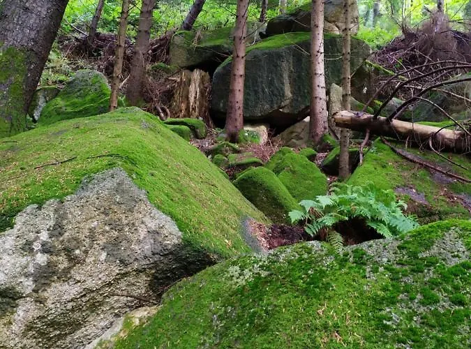 Gabi Апартаменты *