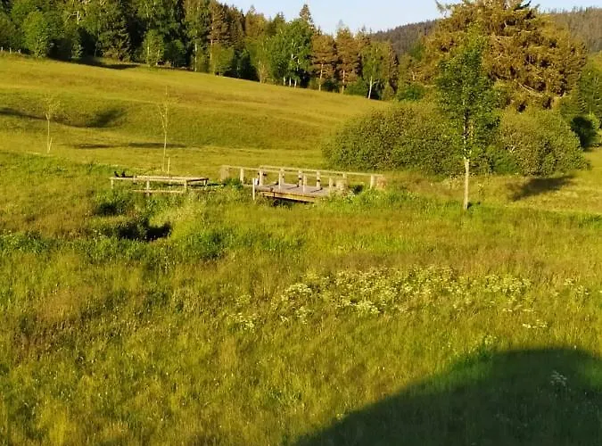 Апартаменты Gabi *